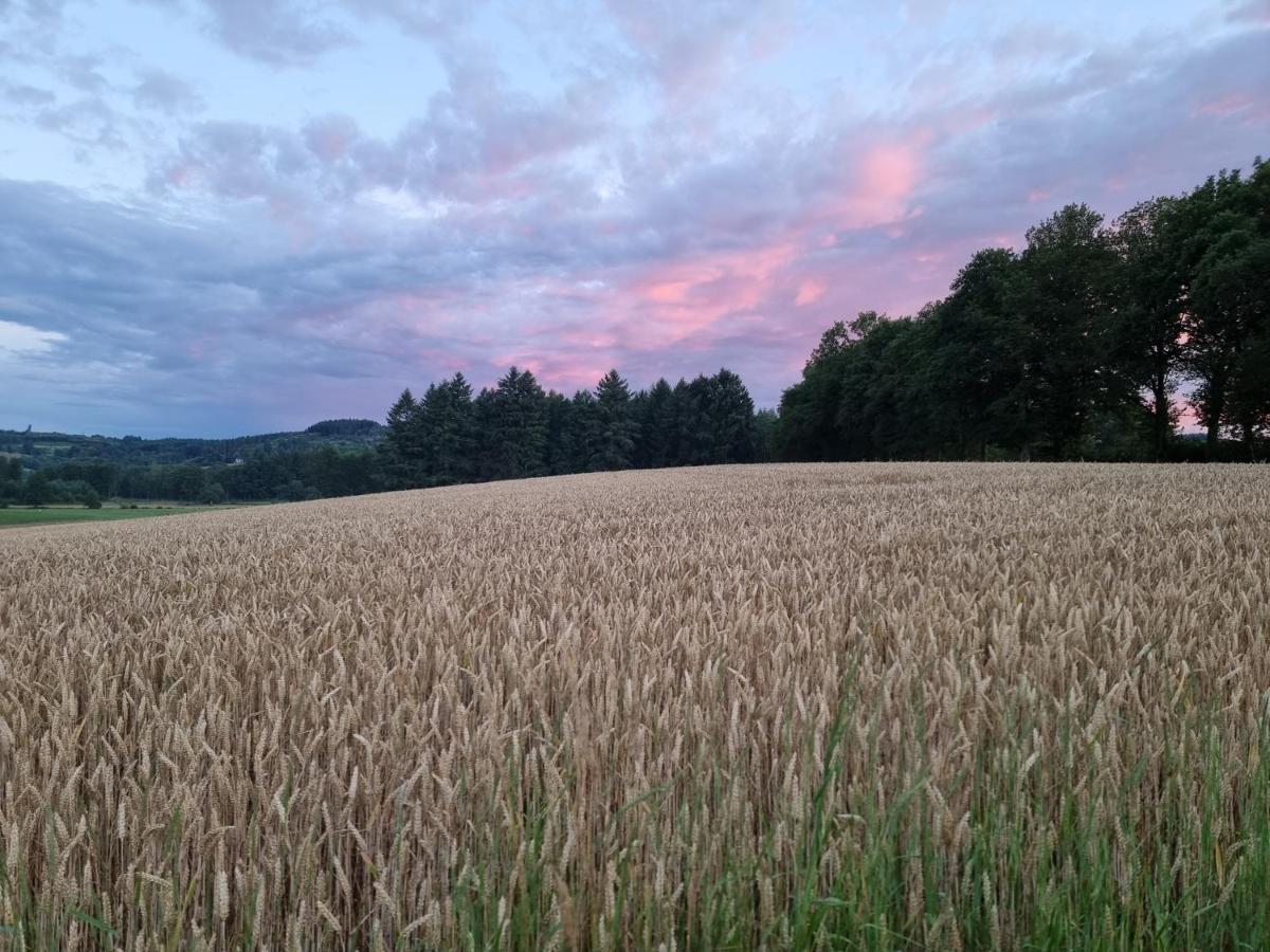 Bon Chez Nous Saint-Amand-Jartoudeix